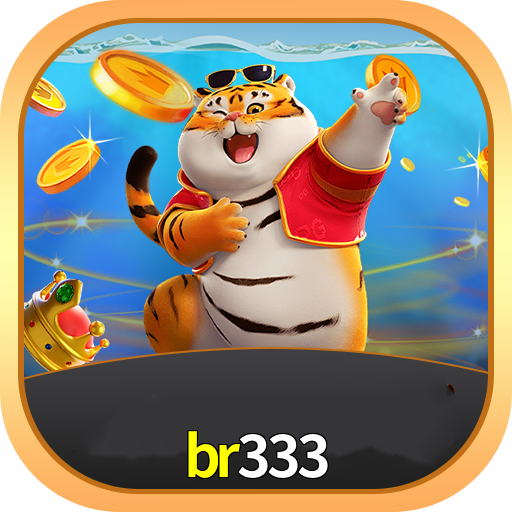 br333
